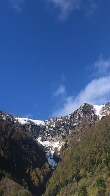 Il Sole Di Ester Бранци Екстериор снимка